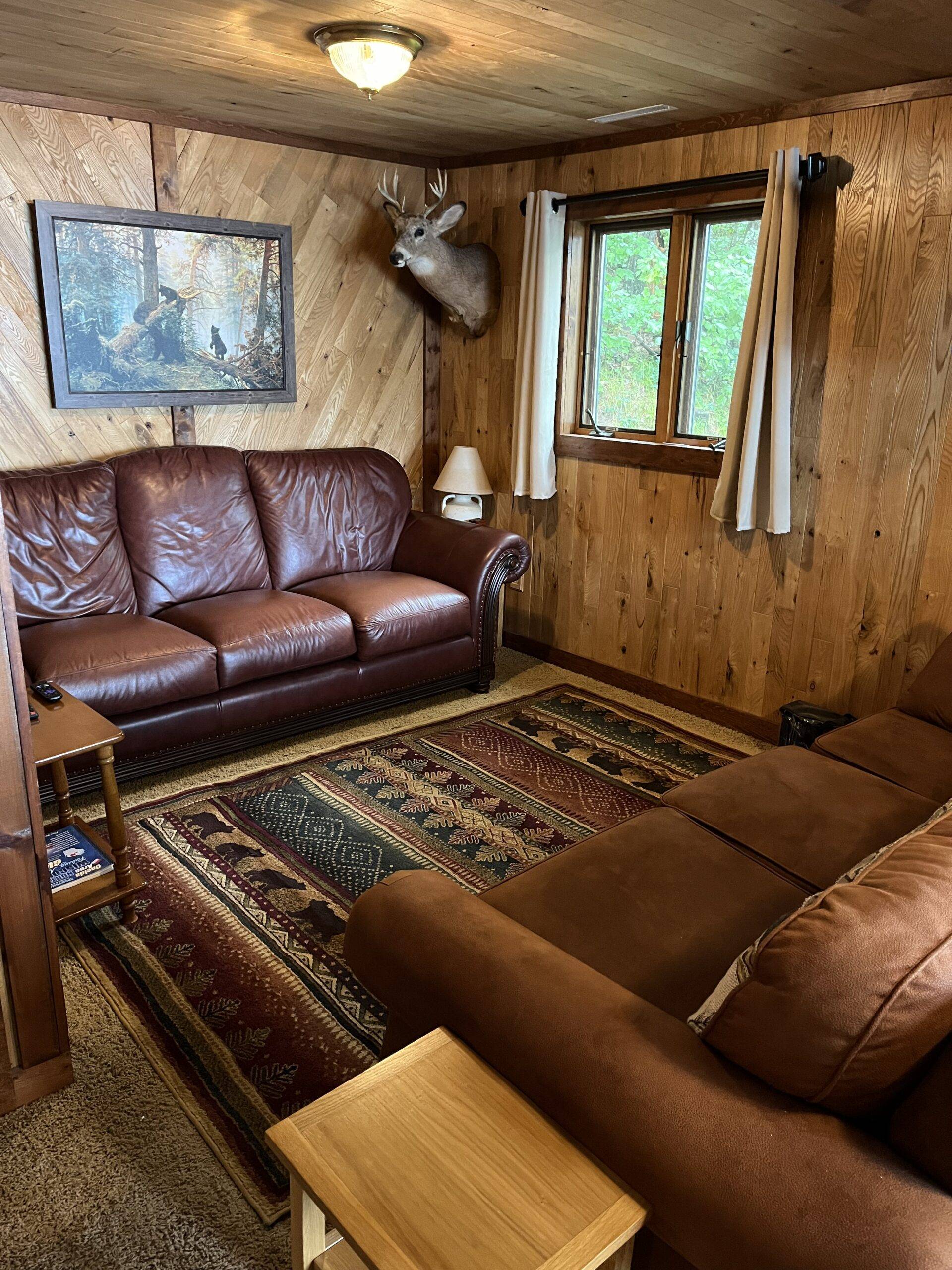 Cabin Rental Living Room 